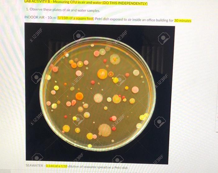 LAB ACTIVITY B - Measuring CFU in air and water (DO | Chegg.com
