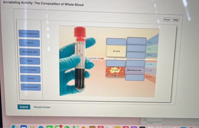 Unlock Blood Secrets Engaging Art Labeling Activity - 5mqwqay