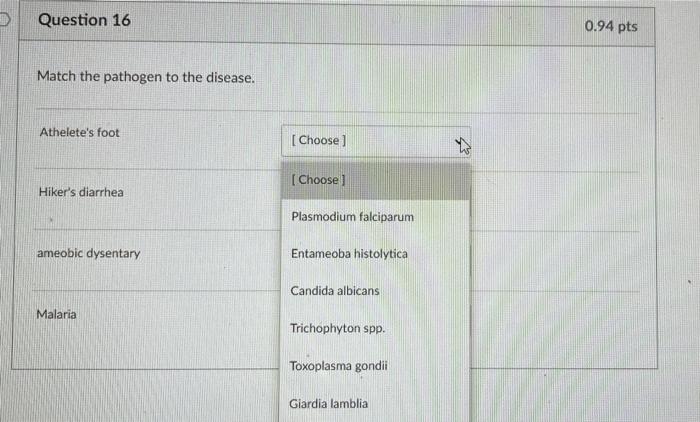 Solved Question 16 0.94 pts Match the pathogen to the | Chegg.com