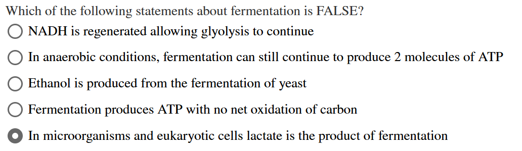 Solved Which of the following statements about fermentation | Chegg.com