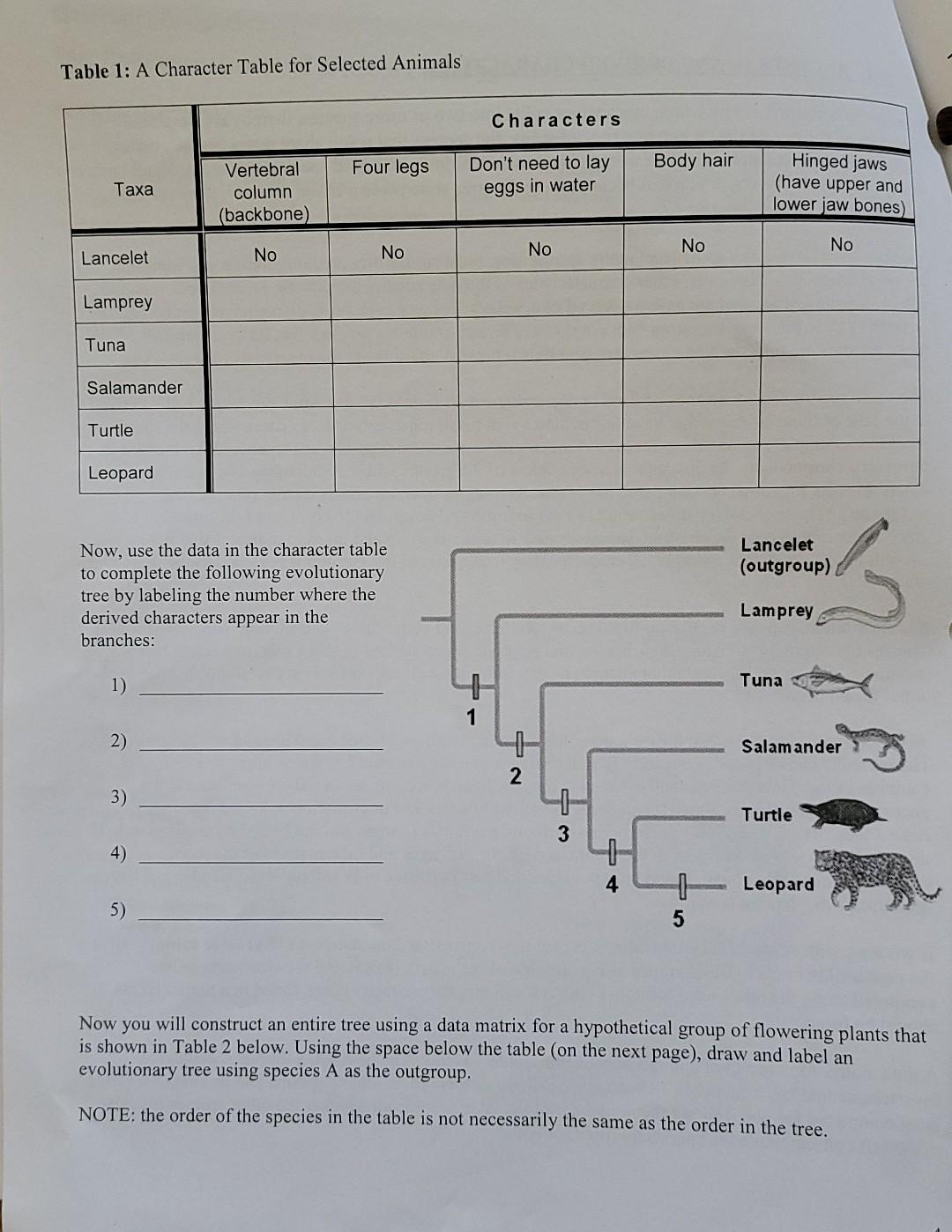 Solved Table 1 A Character Table for Selected Animals Chegg