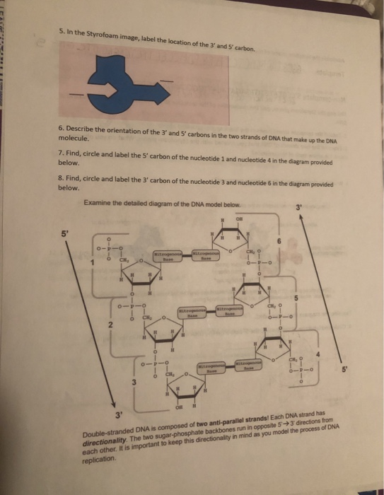 Solved Cal 5 In The Styrofoam Image Label The Location Chegg Com