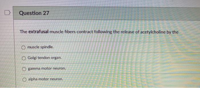 Solved Question 27 The extrafusal muscle fibers contract | Chegg.com