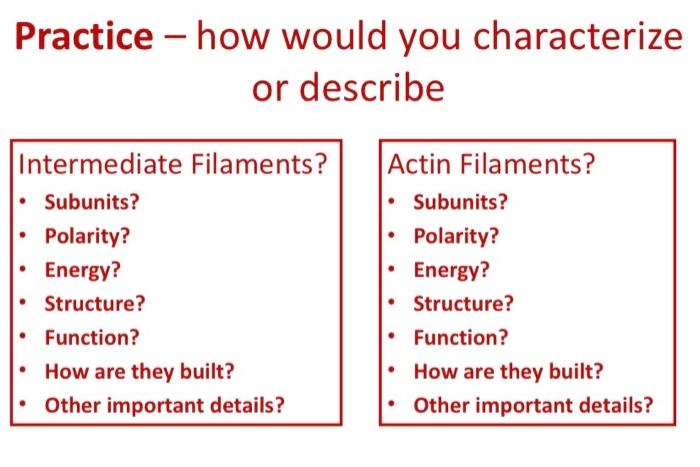 Solved Practice - how would you characterize or describe | Chegg.com