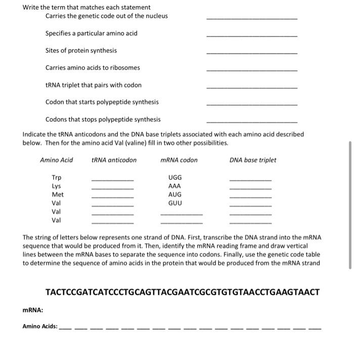 Solved Name Section Name DNA, RNA and the Genetic Code | Chegg.com