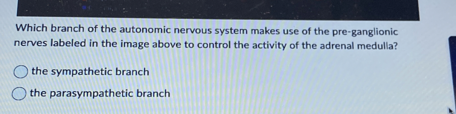 Solved Which branch of the autonomic nervous system makes | Chegg.com