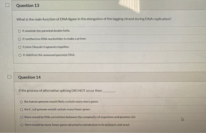 solved-d-question-13-what-is-the-main-function-of-dna-ligase-chegg