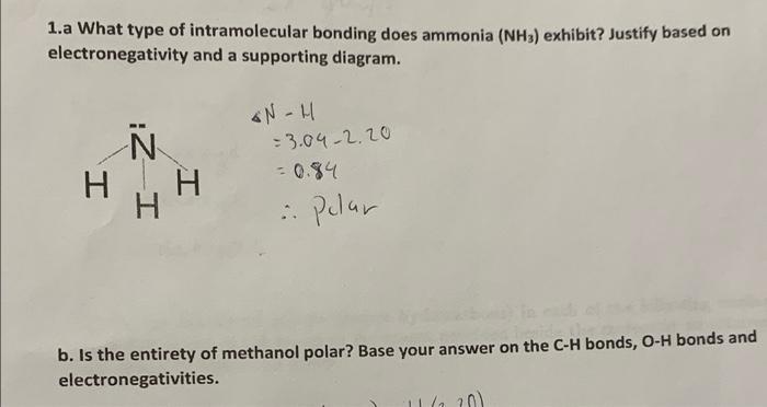 Solved 1a What Type Of Intramolecular Bonding Does Ammonia 9701