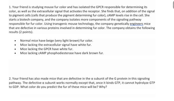 Solved 1. Your friend is studying mouse fur color and has | Chegg.com