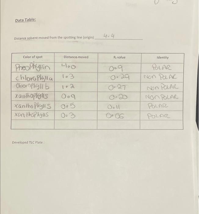 Solved TLC of Spinach Extracts Spinach contains several