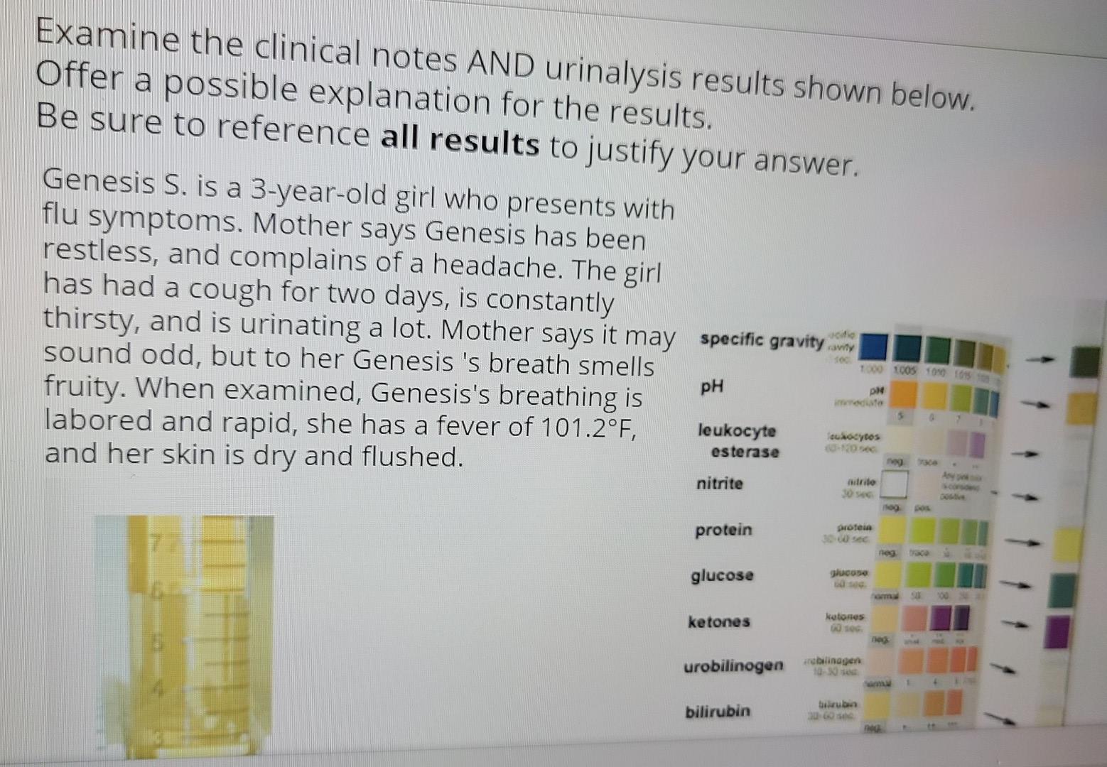 Examine the clinical notes AND urinalysis results shown below. Offer a possible explanation for the results. Be sure to refer