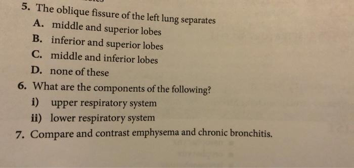 Solved 5. The oblique fissure of the left lung separates A. | Chegg.com