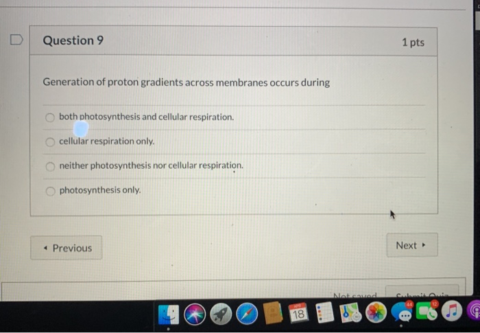 Generation Of Proton Gradients Across Membranes