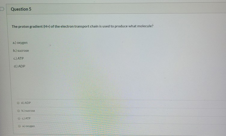 Solved Question 4 1.7 pts The electron transport chain is a | Chegg.com
