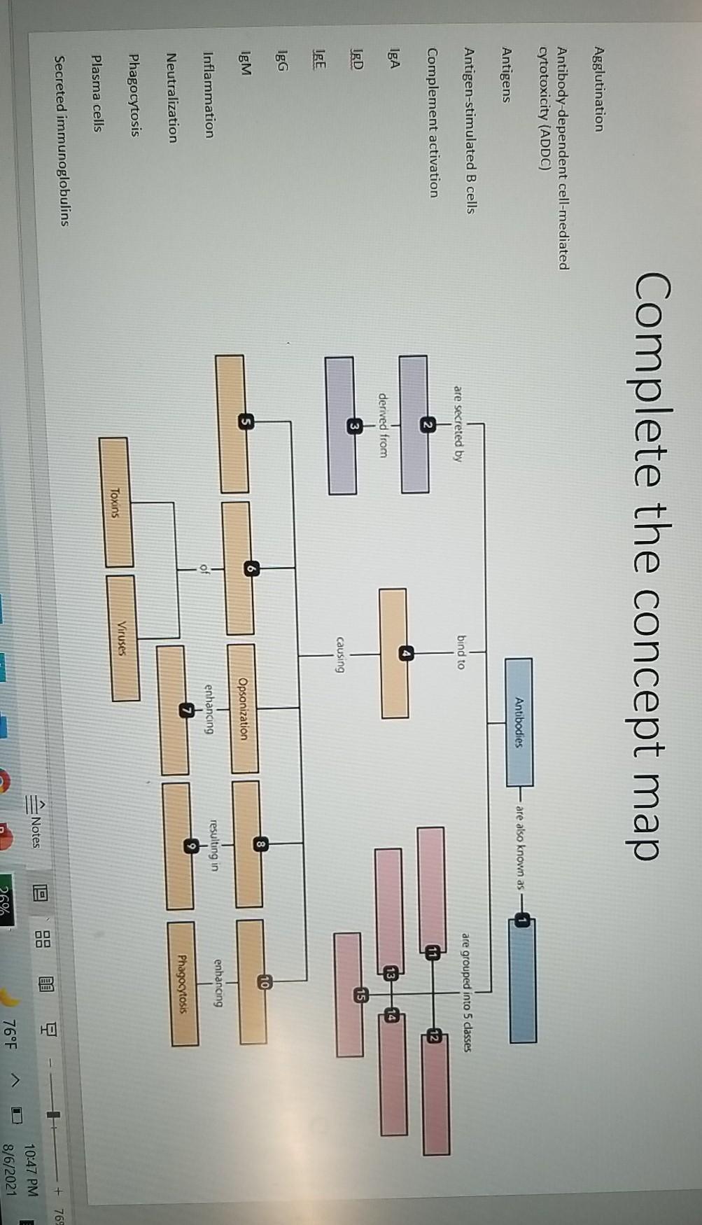 Solved Complete the concept map Agglutination Antibody