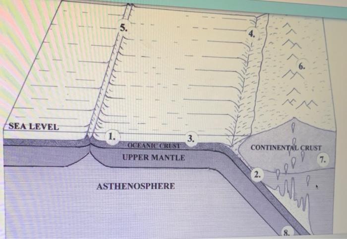 Solved 5. 6. SEA LEVEL 8 3. OCEANIC CRUST CONTINENTAL CRUST | Chegg.com