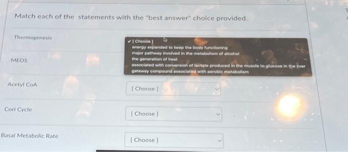 Solved Match each of the statements with the 