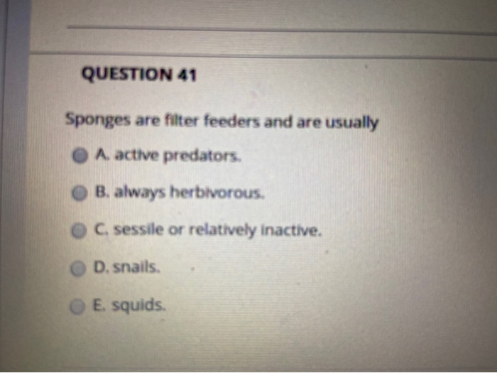 Solved QUESTION 41 Sponges are filter feeders and are