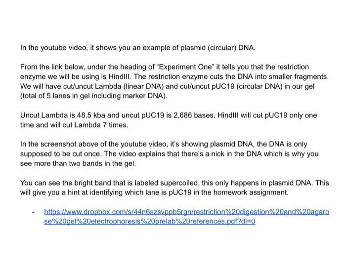 Restriction digestion and agarose gel electrophoresis | Chegg.com