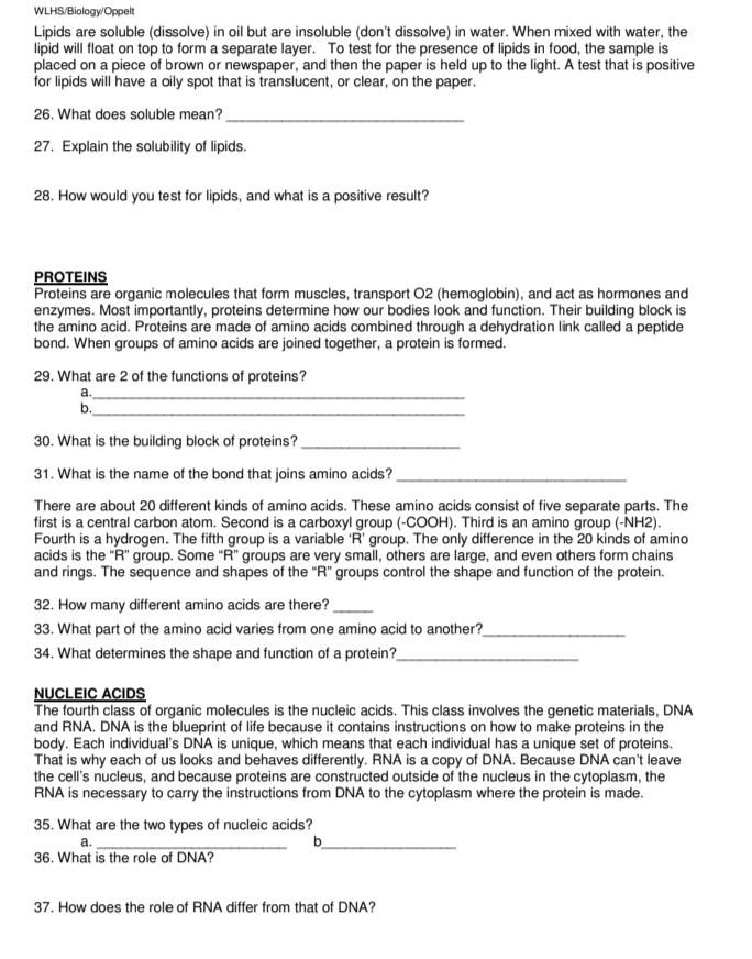 Solved WLHS/Biology Oppelt Lipids are soluble (dissolve) in | Chegg.com