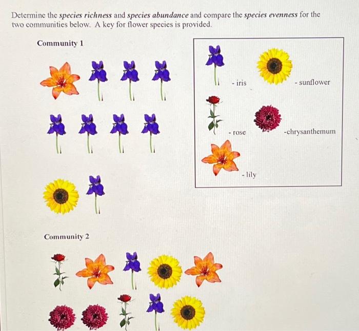 Solved Determine the species richness and species abundance | Chegg.com