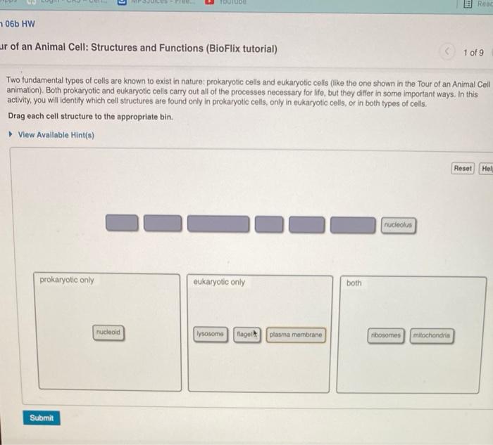 solved-toutube-rooc-06b-hw-ar-of-an-animal-cell-structures-chegg