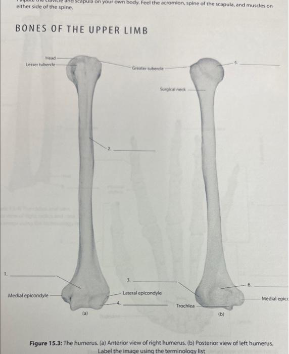 student submitted image, transcription available below