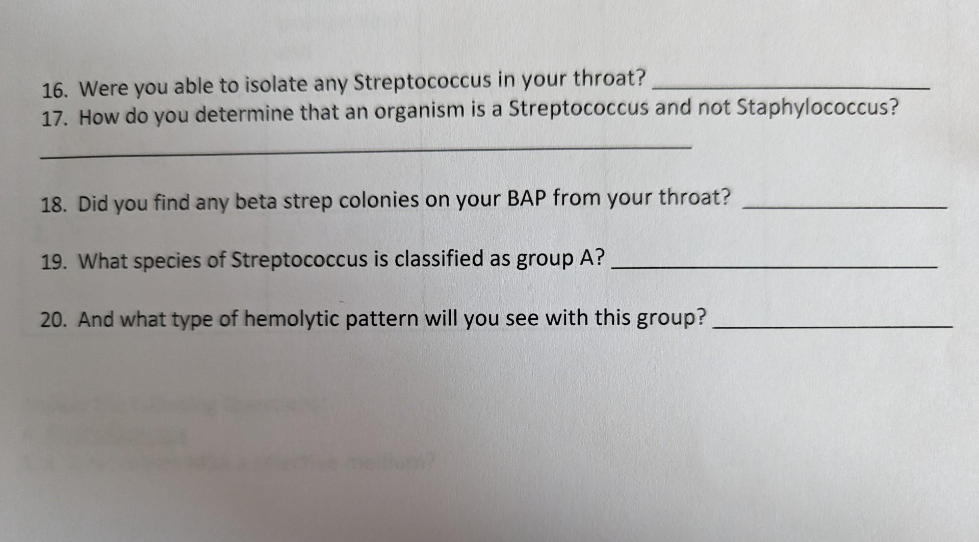 group-b-streptococcus-gbs-infection-in-pregnancy-nursing-osmosis