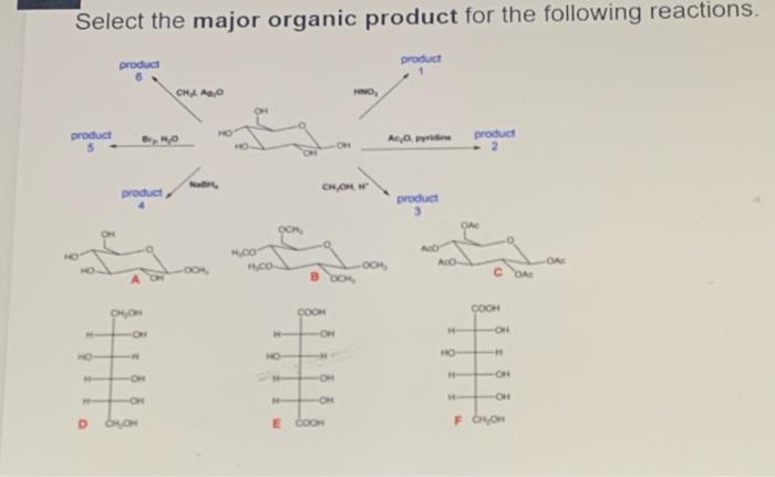 Solved Select the major organic product for the following | Chegg.com