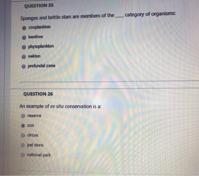 Solved QUESTION 25 Sponges and brittle stars are members of