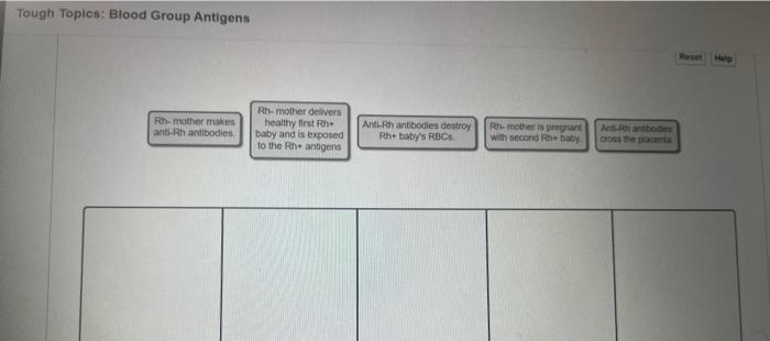 Solved A person with blood type has toth A and B antigens on | Chegg.com
