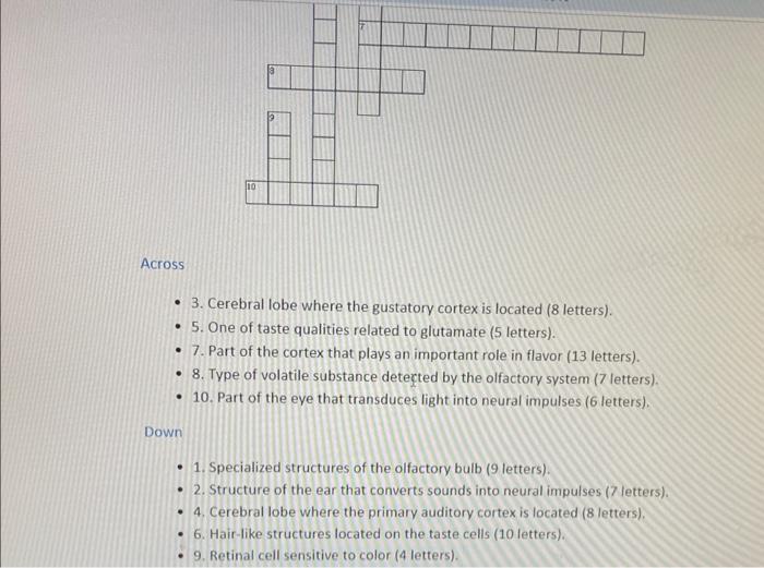 Across
- 3. Cerebral lobe where the gustatory cortex is located (8 letters).
- 5. One of taste qualities related to glutamate