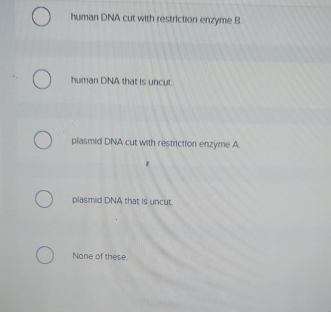 Solved Human DNA cut with restriction enzyme A can. Human | Chegg.com