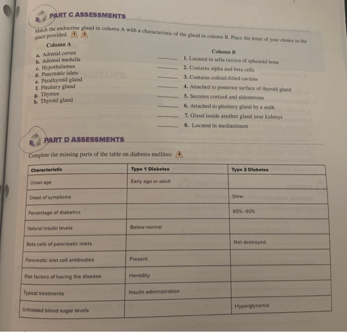 Solved Match The Endocrine Gland In Column A With A Chara Chegg Com