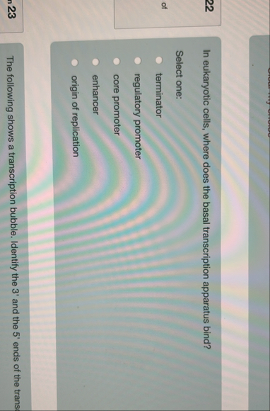 Solved 22In eukaryotic cells, where does the basal | Chegg.com