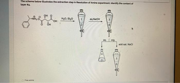Solved The scheme below illustrates the extraction step in | Chegg.com