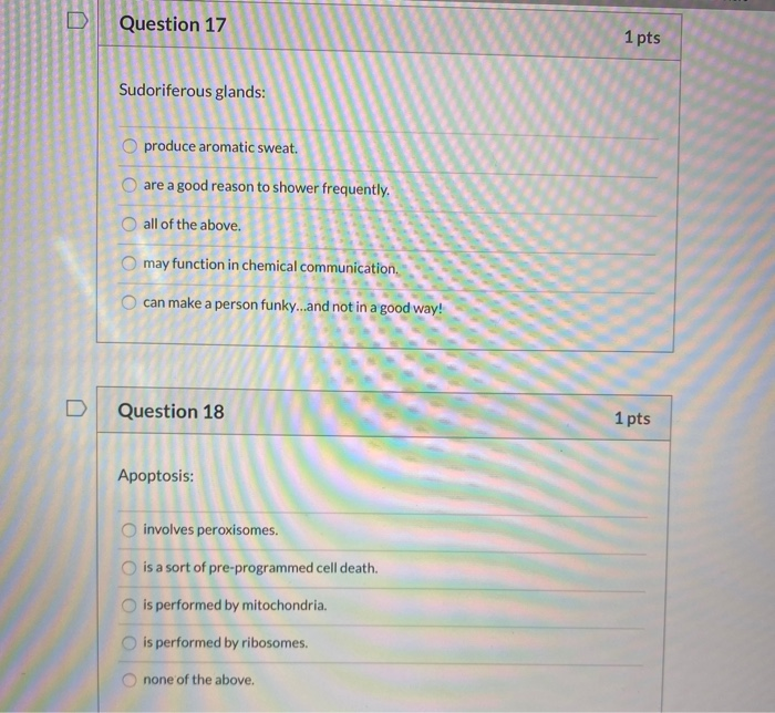 Solved Question 17 1 pts Sudoriferous glands: O produce | Chegg.com