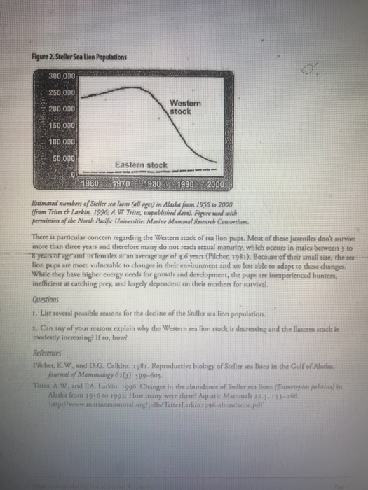 Summarize the two different camps of thought on the life cycle of pfiesteria. image