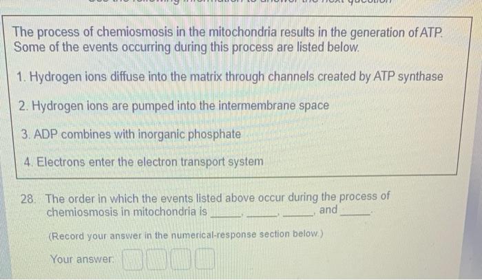 Solved The process of chemiosmosis in the mitochondria | Chegg.com