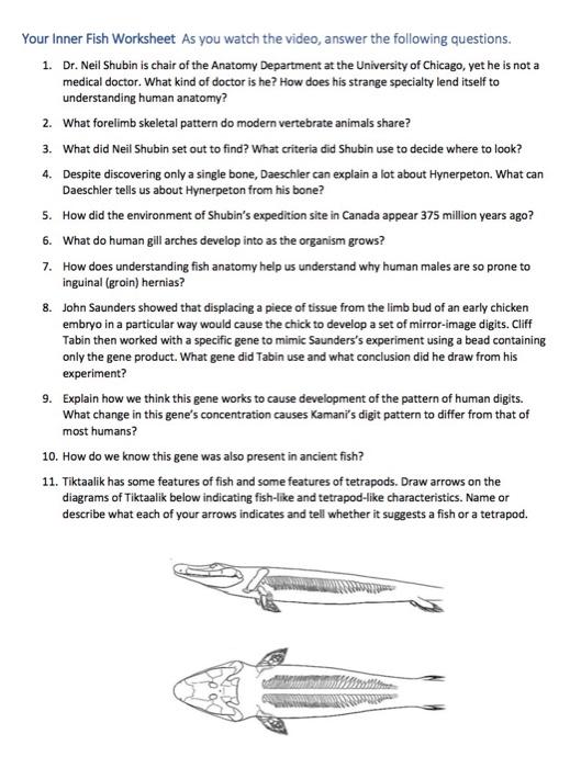 Your Inner Fish Worksheet As you watch the video Chegg com
