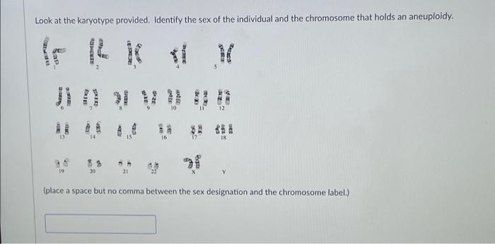 Solved Look at the karyotype provided Identify the sex of Chegg com 