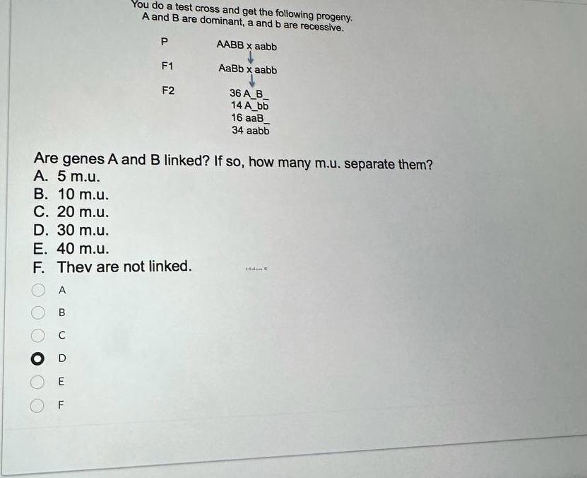 Solved You do a test cross and get the following progeny.A | Chegg.com