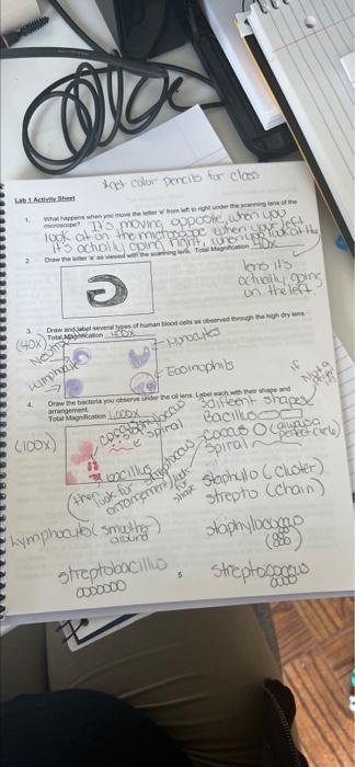 Solved Laboratory #1 The Compound Light Microscope The | Chegg.com