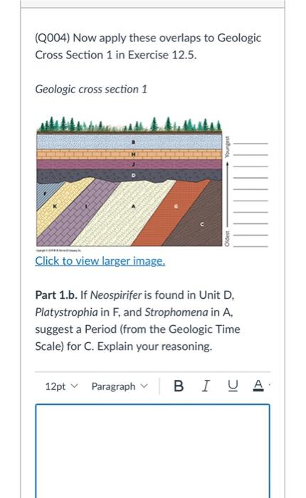 Solved (Q004) Now Apply These Overlaps To Geologic Cross | Chegg.com