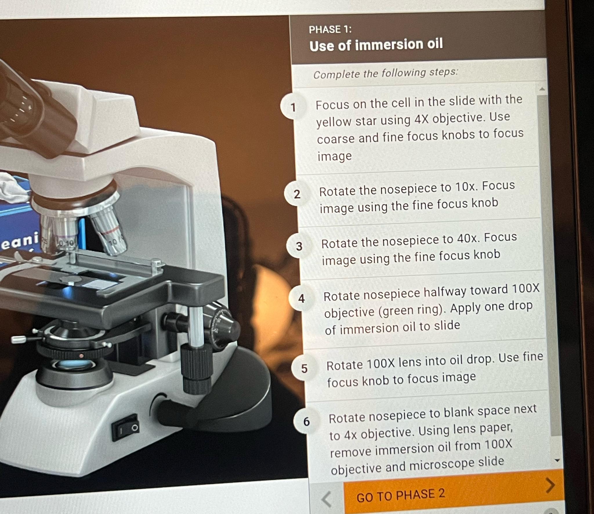 Solved PHASE 1Use of immersion the following
