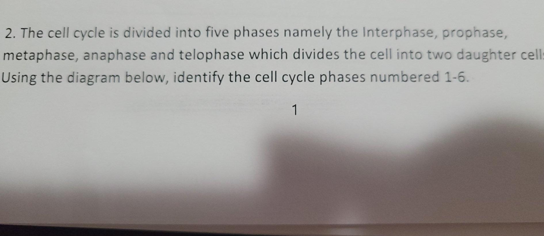 Solved 2. The cell cycle is divided into five phases namely | Chegg.com