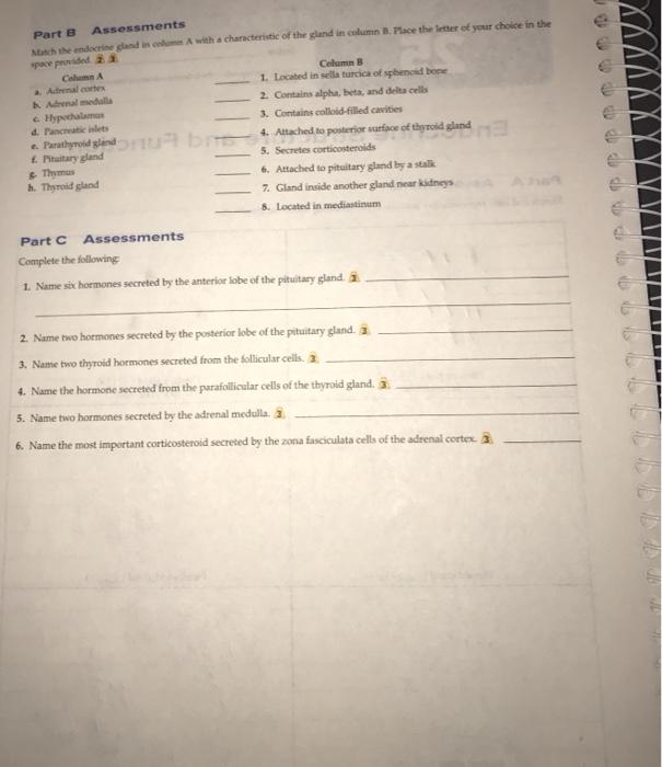 Solved Part B Assessments Mosch Endocrine Land In With A Chegg Com