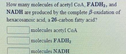 Solved How many molecules of acetyl CoA, FADH,, and NADH are | Chegg.com