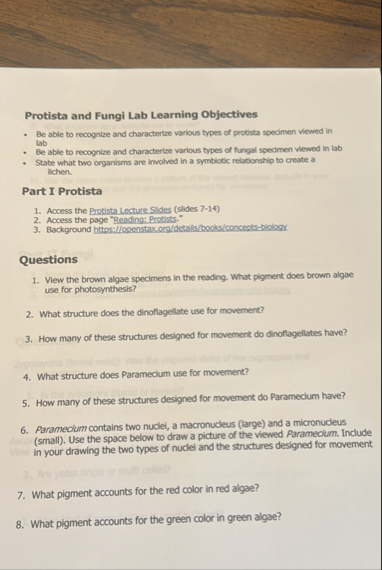 Solved Protista and Fungi Lab Learning ObjectivesBe able to | Chegg.com