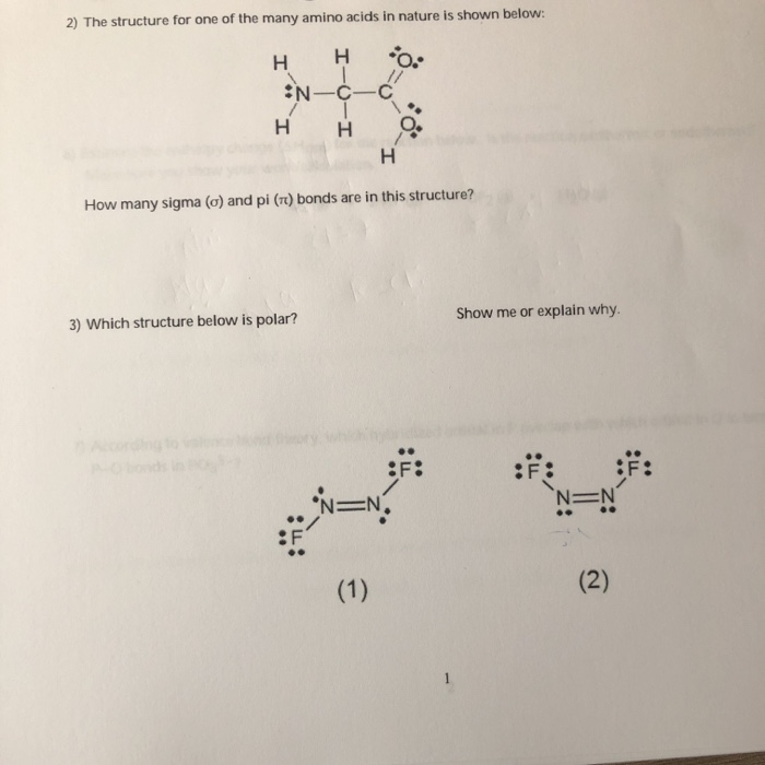 Solved 2) The structure for one of the many amino acids in | Chegg.com